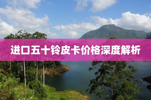 進口五十鈴皮卡價格深度解析