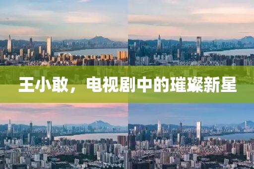 王小敢，電視劇中的璀璨新星
