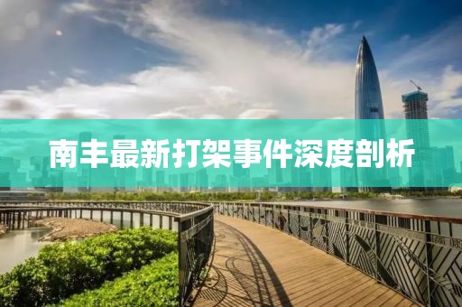 南豐最新打架事件深度剖析