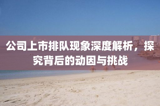 公司上市排隊現象深度解析，探究背后的動因與挑戰