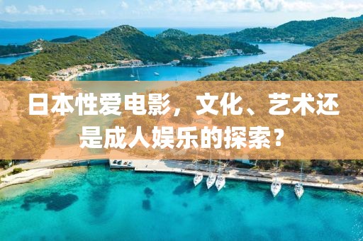 日本性愛電影，文化、藝術還是成人娛樂的探索？
