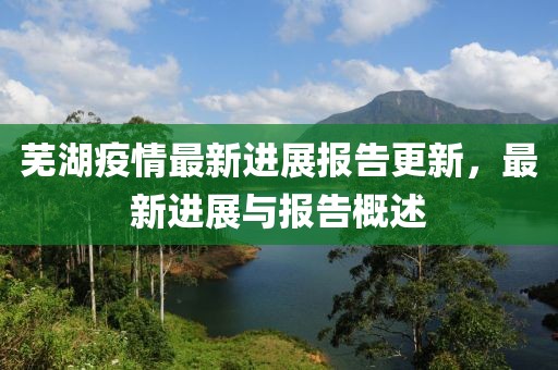 蕪湖疫情最新進展報告更新，最新進展與報告概述