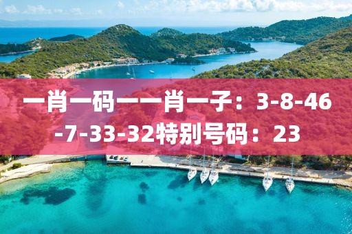 一肖一碼一一肖一子：3-8-46-7-33-32特別號碼：23