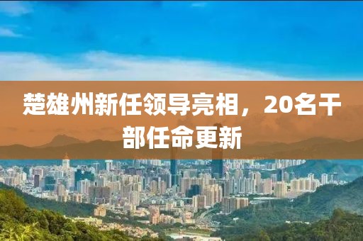 楚雄州新任領導亮相，20名干部任命更新