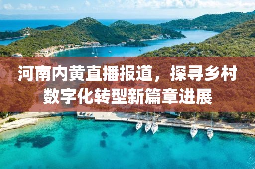 河南內黃直播報道，探尋鄉村數字化轉型新篇章進展