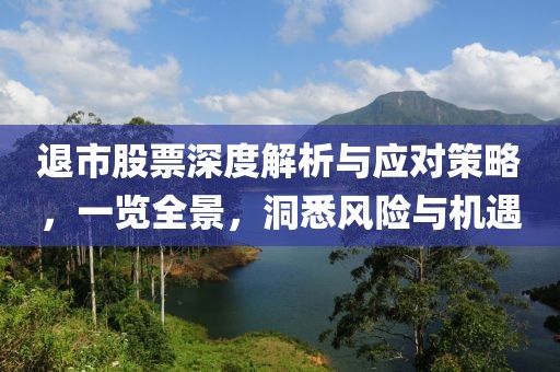 退市股票深度解析與應對策略，一覽全景，洞悉風險與機遇