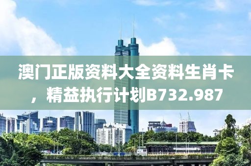 澳門正版資料大全資料生肖卡，精益執行計劃B732.987