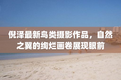 倪澤最新鳥類攝影作品，自然之翼的絢爛畫卷展現眼前