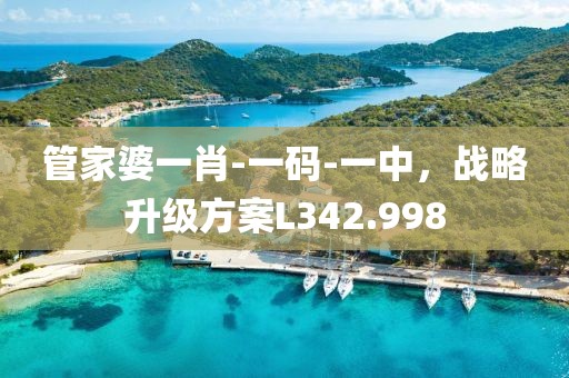 管家婆一肖-一碼-一中，戰略升級方案L342.998