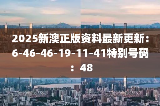 2025新澳正版資料最新更新：6-46-46-19-11-41特別號碼：48
