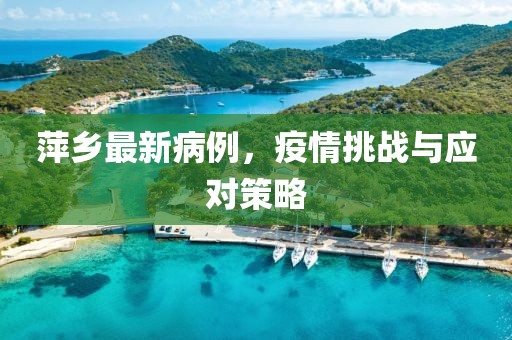 萍鄉最新病例，疫情挑戰與應對策略