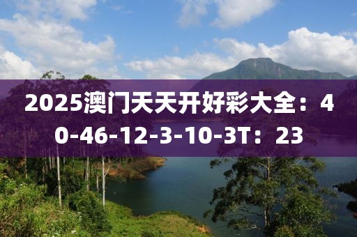 2025澳門天天開好彩大全：40-46-12-3-10-3T：23