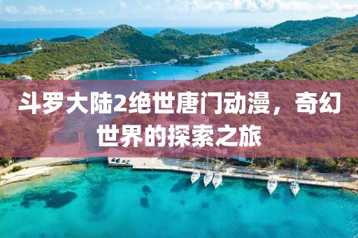 斗羅大陸2絕世唐門動漫，奇幻世界的探索之旅