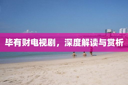 畢有財電視劇，深度解讀與賞析