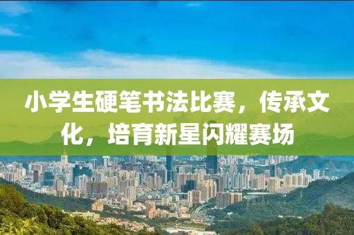 小學生硬筆書法比賽，傳承文化，培育新星閃耀賽場