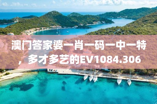 澳門答家婆一肖一碼一中一特，多才多藝的EV1084.306