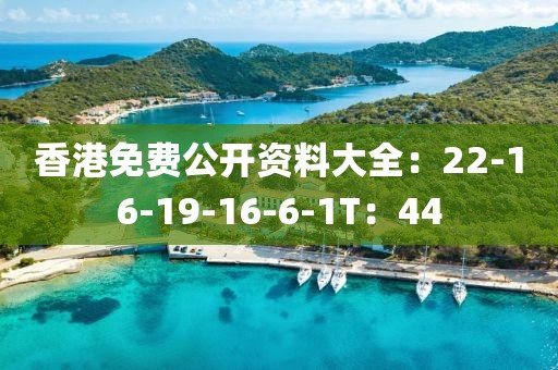 香港免費公開資料大全：22-16-19-16-6-1T：44