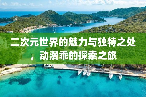 二次元世界的魅力與獨特之處，動漫乖的探索之旅