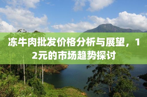 凍牛肉批發價格分析與展望，12元的市場趨勢探討