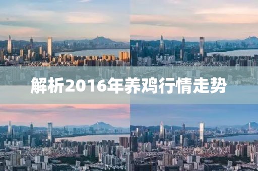 解析2016年養雞行情走勢