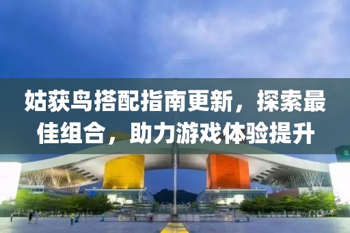 姑獲鳥搭配指南更新，探索最佳組合，助力游戲體驗提升