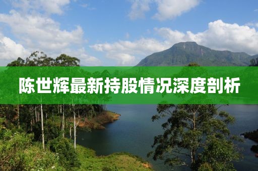 陳世輝最新持股情況深度剖析