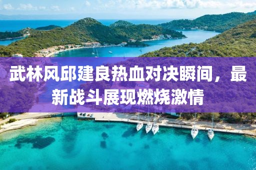 武林風邱建良熱血對決瞬間，最新戰斗展現燃燒激情