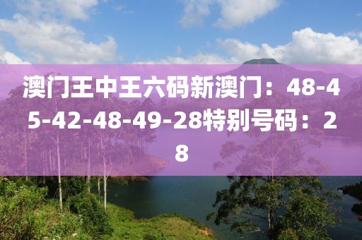 澳門王中王六碼新澳門：48-45-42-48-49-28特別號碼：28