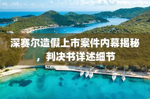 深賽爾造假上市案件內幕揭秘，判決書詳述細節