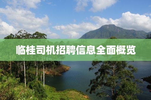 臨桂司機招聘信息全面概覽