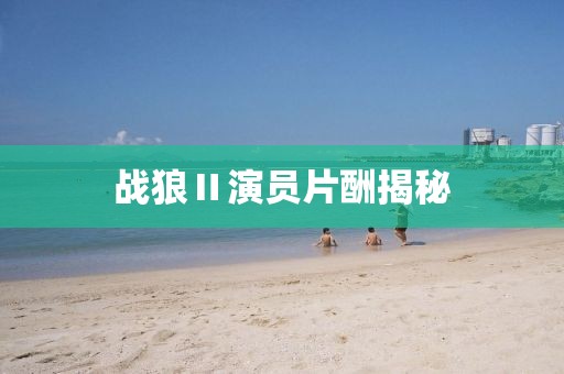 戰狼Ⅱ演員片酬揭秘