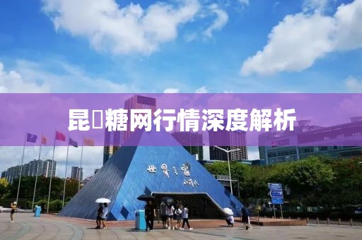 昆榶糖網行情深度解析