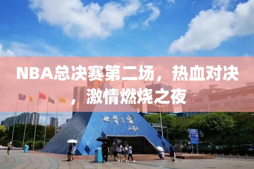 NBA總決賽第二場，熱血對決，激情燃燒之夜