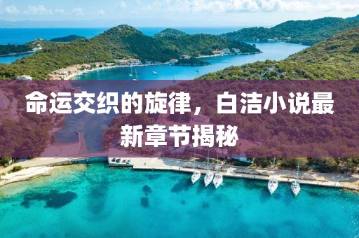 命運交織的旋律，白潔小說最新章節揭秘
