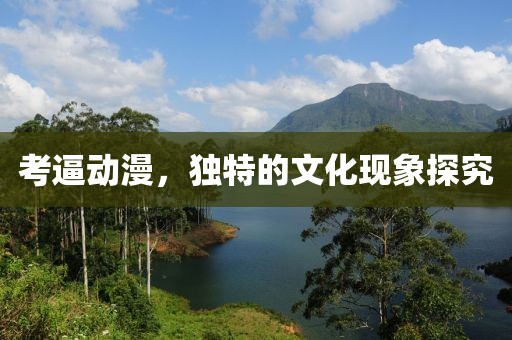 考逼動漫，獨特的文化現象探究