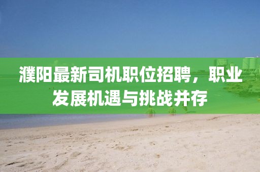 濮陽最新司機職位招聘，職業發展機遇與挑戰并存