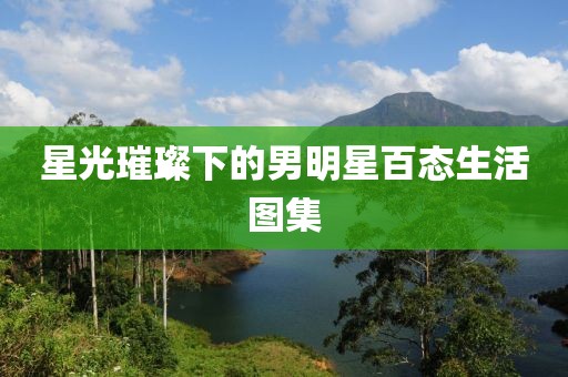 星光璀璨下的男明星百態生活圖集