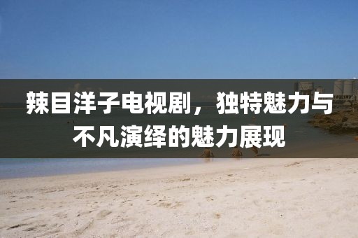 辣目洋子電視劇，獨特魅力與不凡演繹的魅力展現