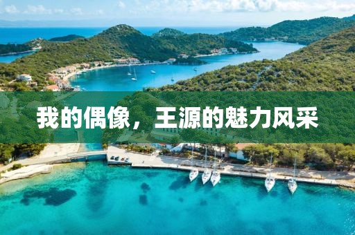 我的偶像，王源的魅力風采