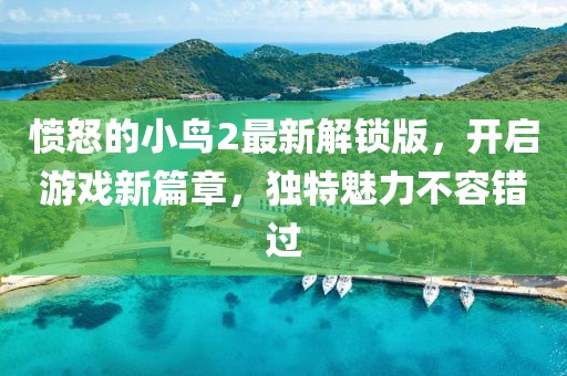 憤怒的小鳥2最新解鎖版，開啟游戲新篇章，獨特魅力不容錯過
