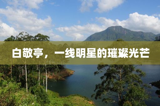 白敬亭，一線明星的璀璨光芒