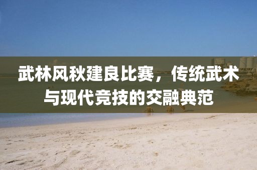 武林風秋建良比賽，傳統武術與現代競技的交融典范