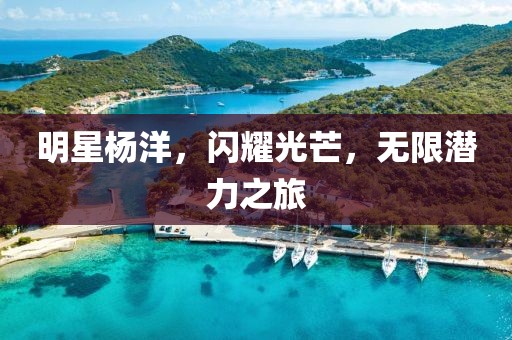 明星楊洋，閃耀光芒，無限潛力之旅