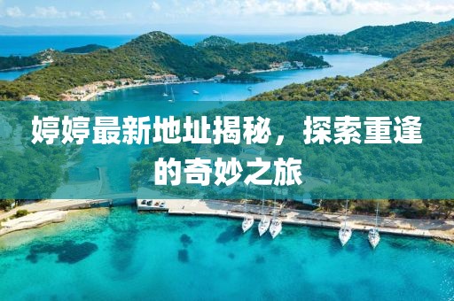 婷婷最新地址揭秘，探索重逢的奇妙之旅