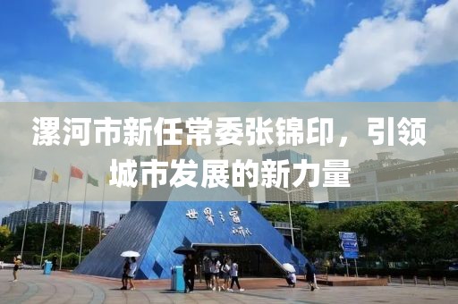 漯河市新任常委張錦印，引領城市發展的新力量
