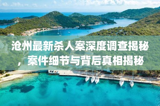 滄州最新殺人案深度調查揭秘，案件細節與背后真相揭秘