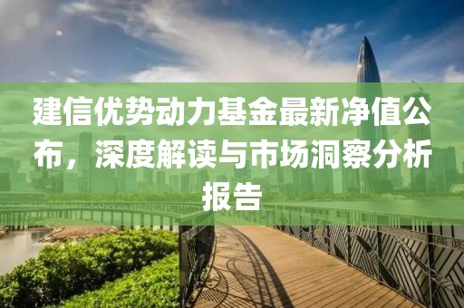 建信優勢動力基金最新凈值公布，深度解讀與市場洞察分析報告