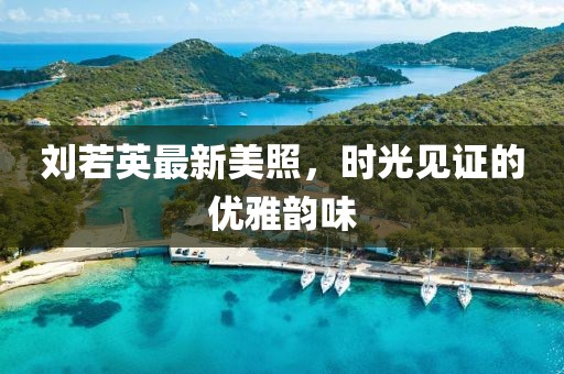劉若英最新美照，時光見證的優雅韻味
