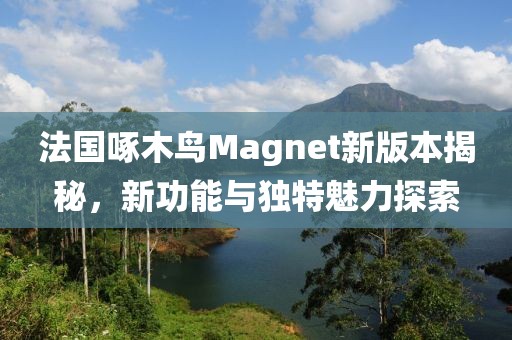法國啄木鳥Magnet新版本揭秘，新功能與獨特魅力探索