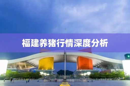 福建養豬行情深度分析